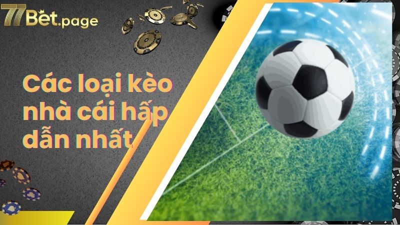 Các loại kèo nhà cái hấp dẫn nhất