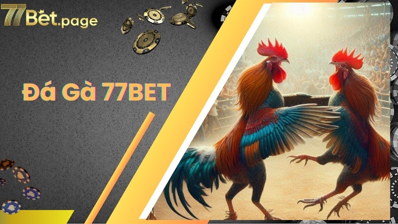 Các hình thức đá gà 77bet được yêu thích
