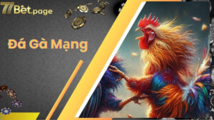 Đá Gà Mạng Là Gì? Hướng Dẫn Chơi Đá Gà Mạng Tại 77bet