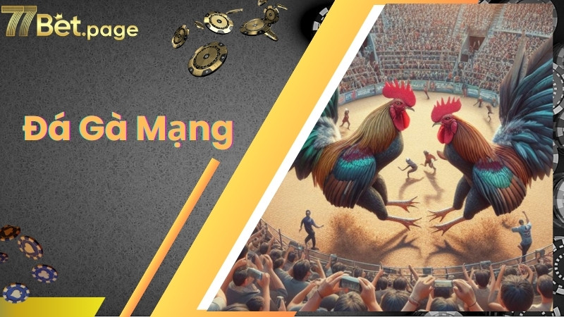 Giải thích về thuật ngữ đá gà mạng