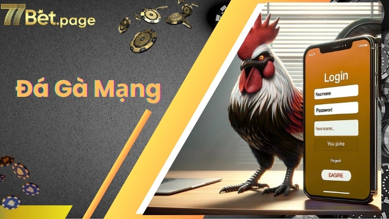 Các bước vào chơi đá gà mạng tại 77bet
