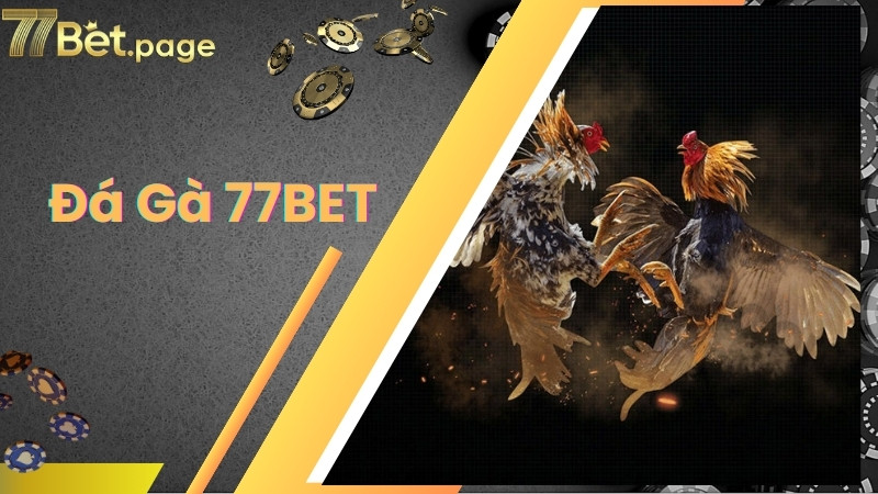 Ưu điểm của sảnh cược đá gà 77bet