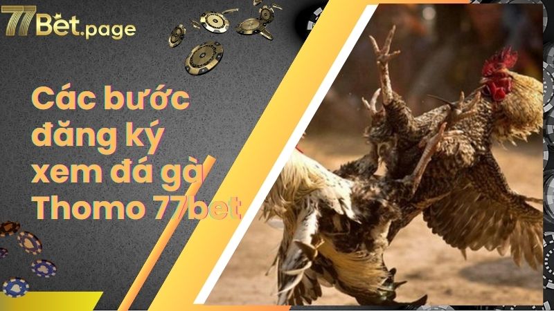 Các bước đăng ký xem đá gà Thomo 77bet