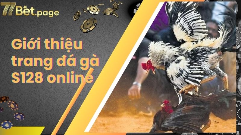 Giới thiệu trang đá gà S128 online