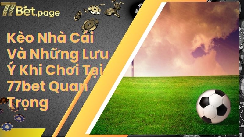 Kèo Nhà Cái Và Những Lưu Ý Khi Chơi Tại 77bet Quan Trọng