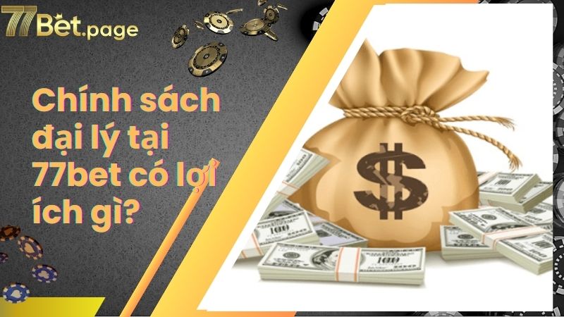 Chính sách đại lý tại 77bet có lợi ích gì?