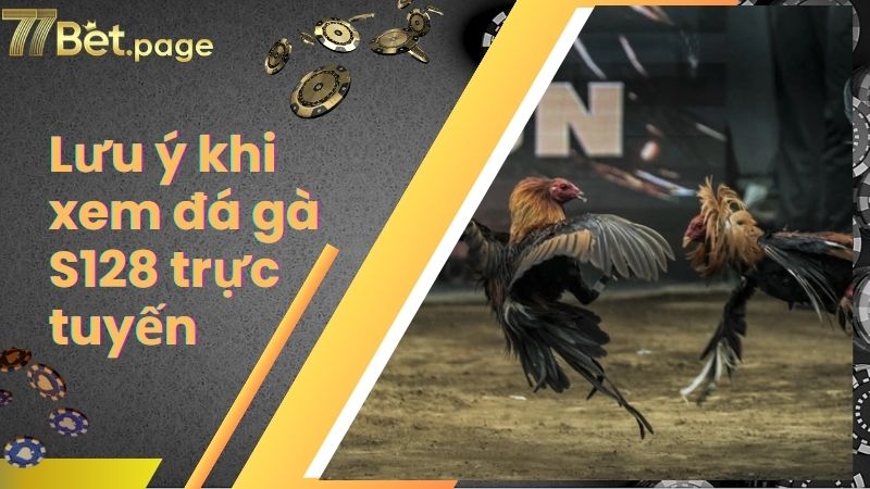Lưu ý khi xem đá gà S128 trực tuyến