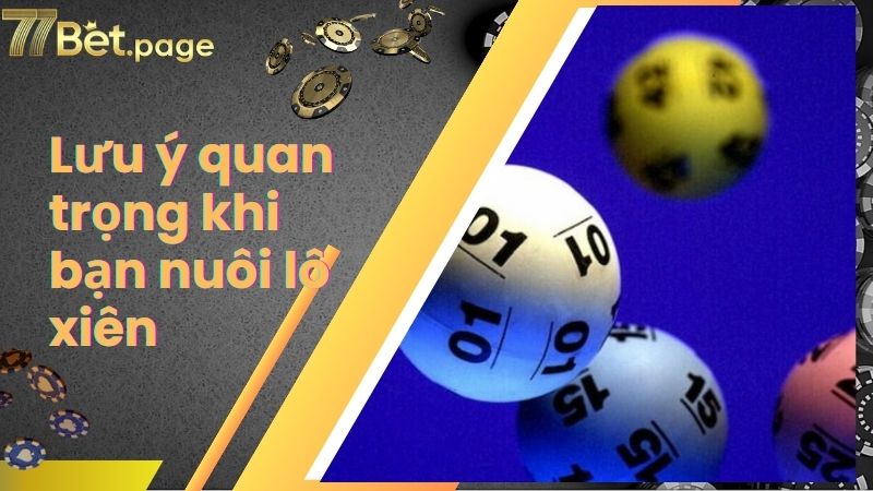 Lưu ý quan trọng khi bạn nuôi lô xiên